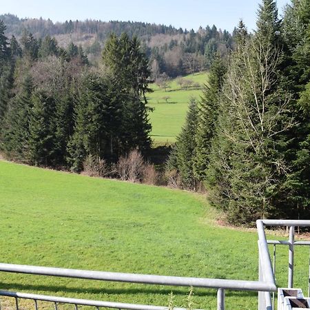Ferienwohnung Im Dettenbachtal Waldkirch Kültér fotó