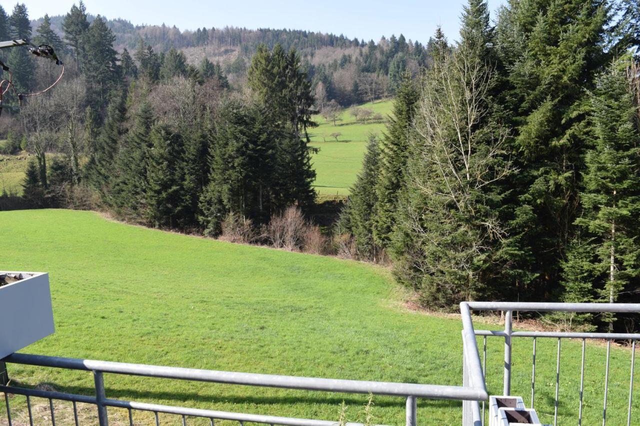 Ferienwohnung Im Dettenbachtal Waldkirch Kültér fotó