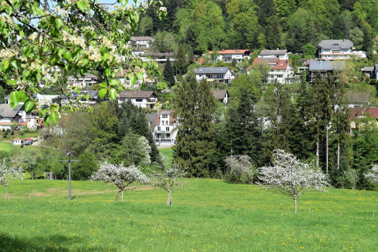 Ferienwohnung Im Dettenbachtal Waldkirch Kültér fotó