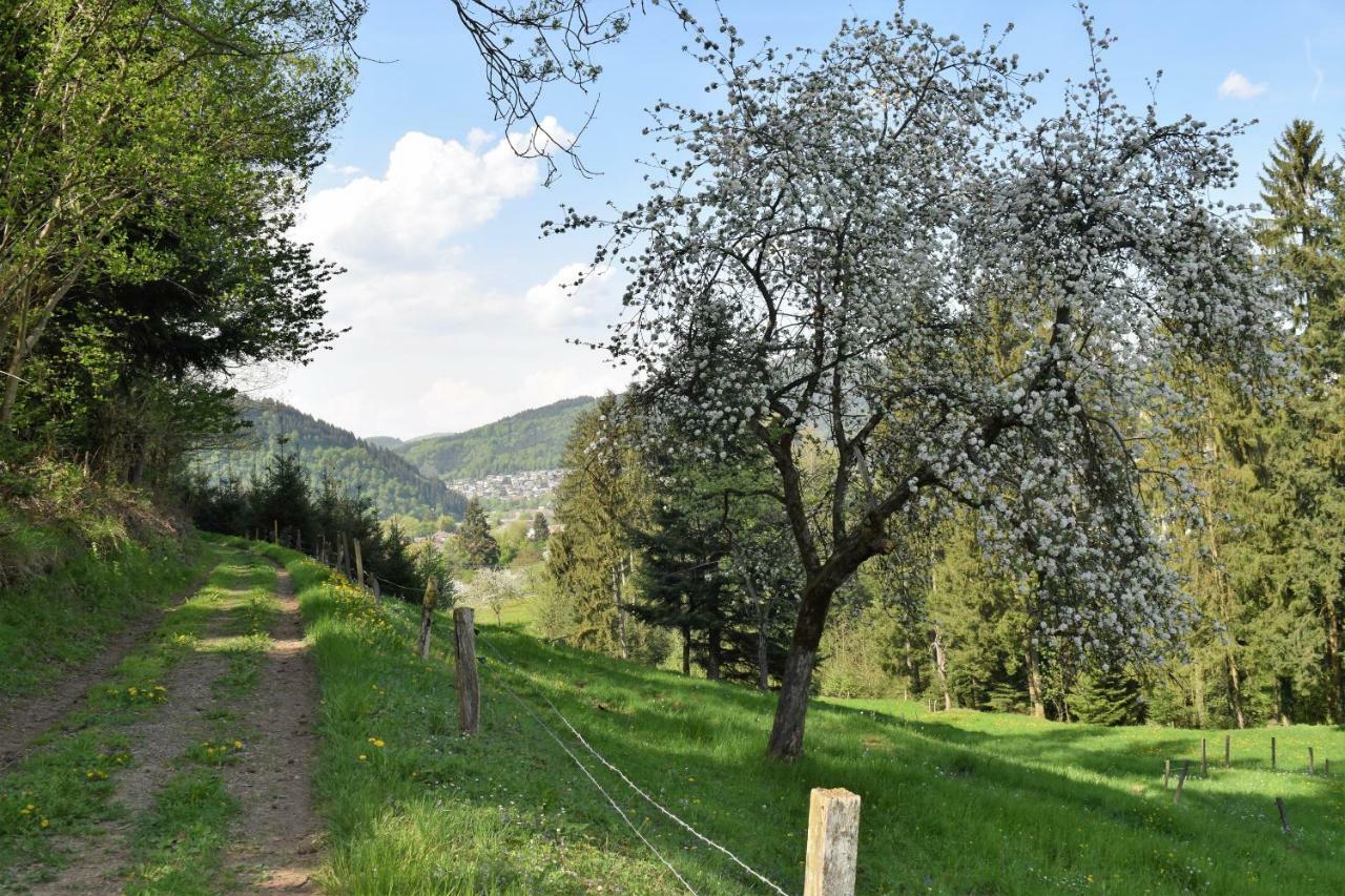 Ferienwohnung Im Dettenbachtal Waldkirch Kültér fotó