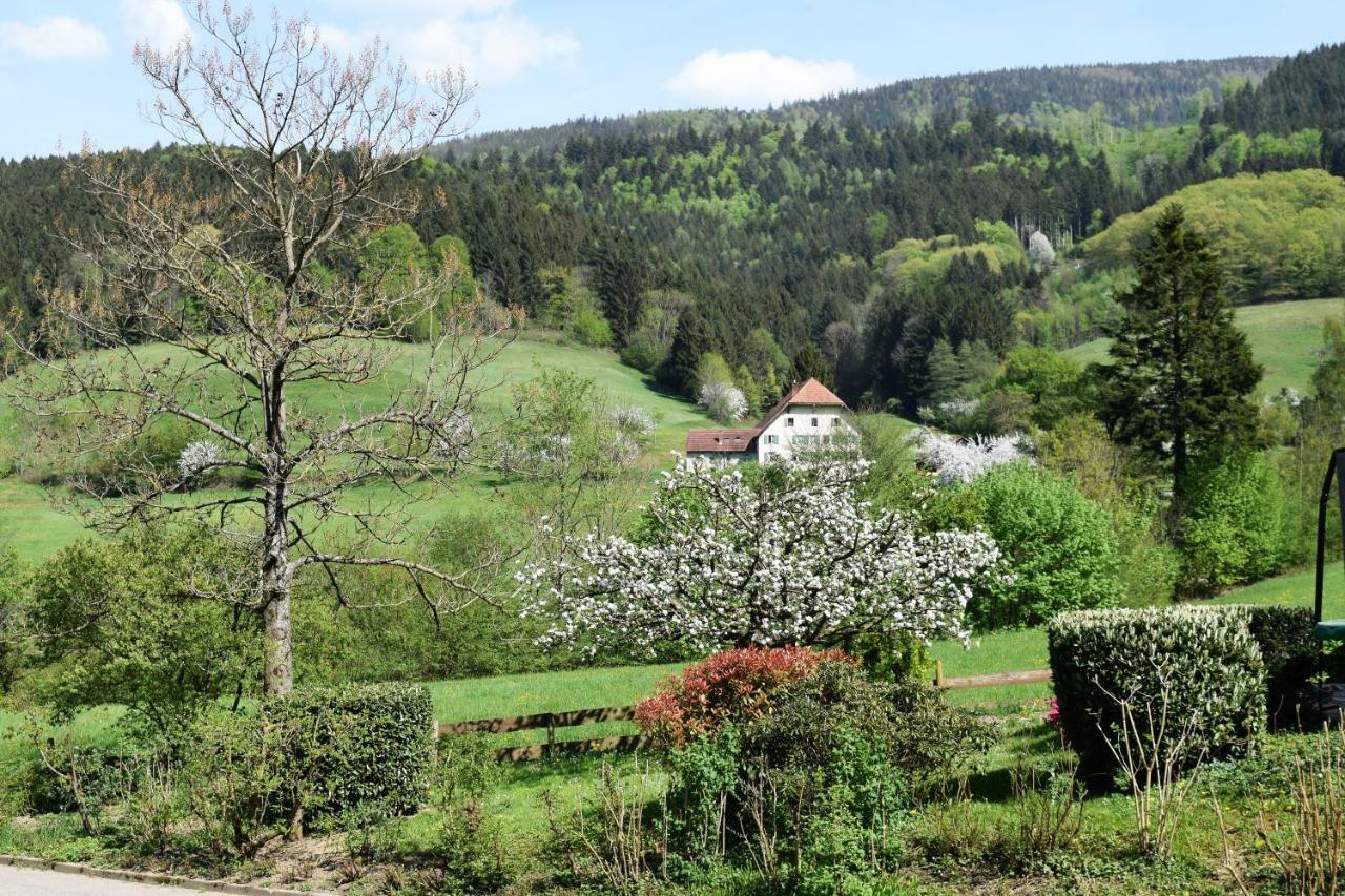 Ferienwohnung Im Dettenbachtal Waldkirch Kültér fotó